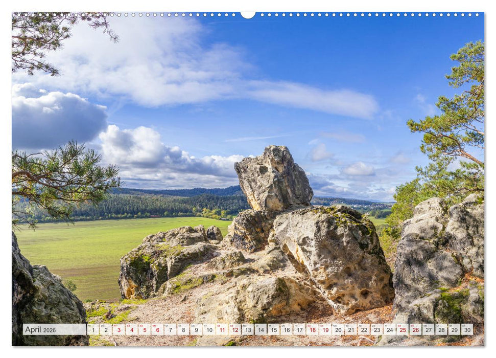Der Harz - eine geheimnisvolle Welt (CALVENDO Premium Wandkalender 2026)