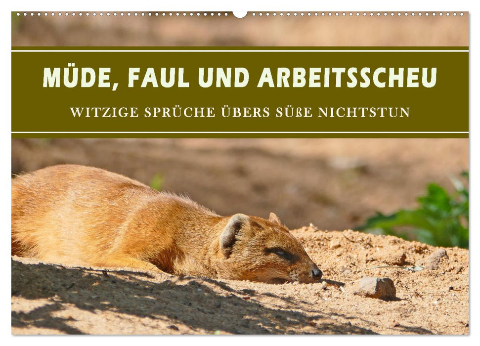 Müde, faul und arbeitsscheu (CALVENDO Wandkalender 2026)