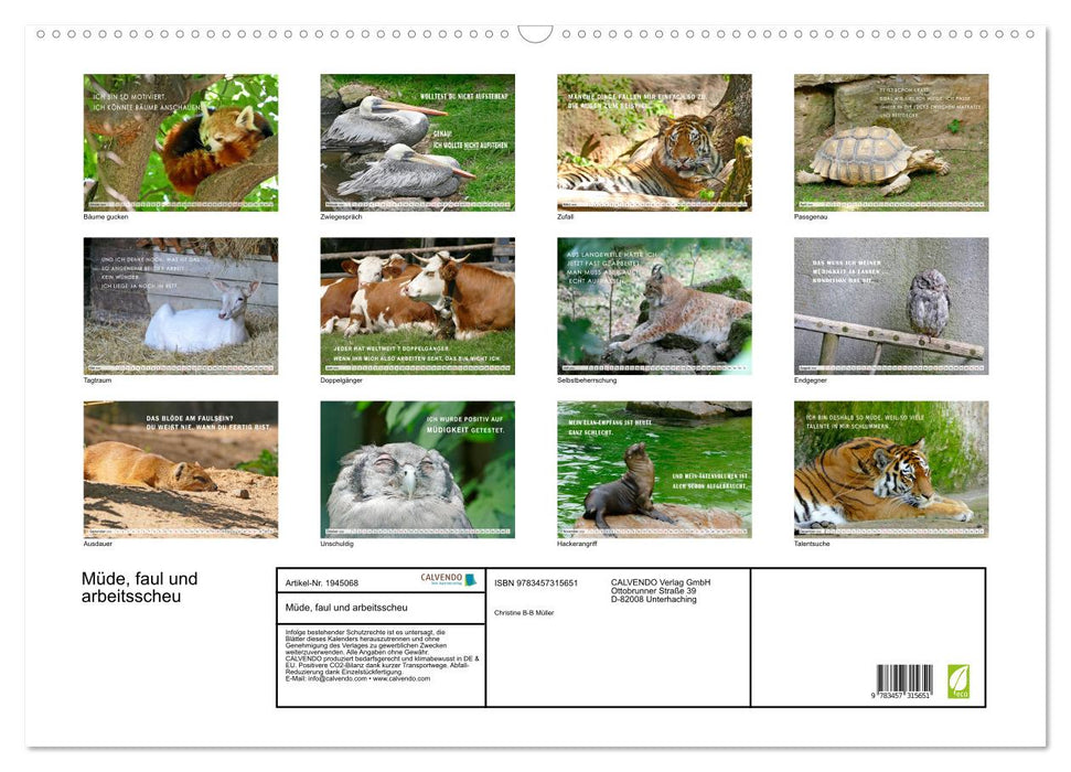 Müde, faul und arbeitsscheu (CALVENDO Wandkalender 2026)