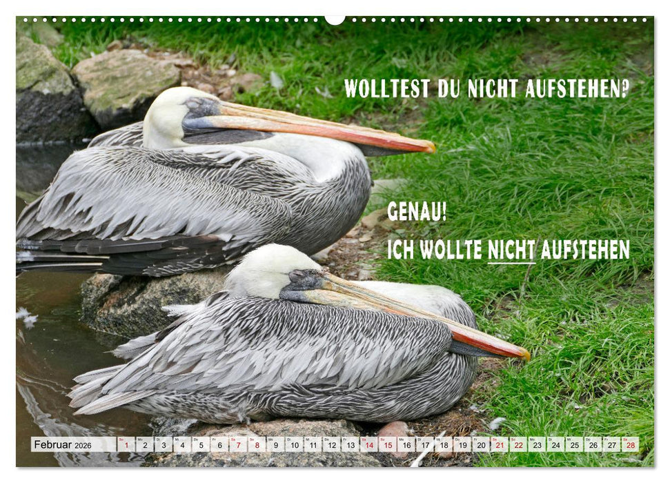 Müde, faul und arbeitsscheu (CALVENDO Wandkalender 2026)