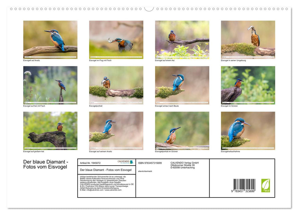 Der blaue Diamant - Fotos vom Eisvogel (CALVENDO Premium Wandkalender 2026)