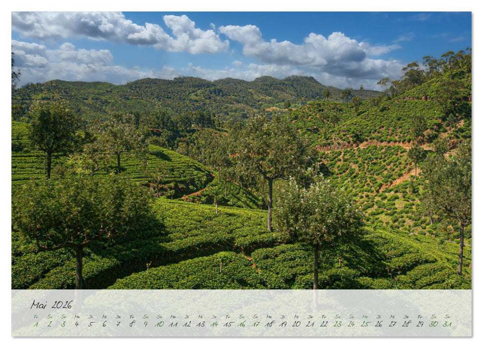 Verliebt in Sri Lanka (CALVENDO Wandkalender 2026)