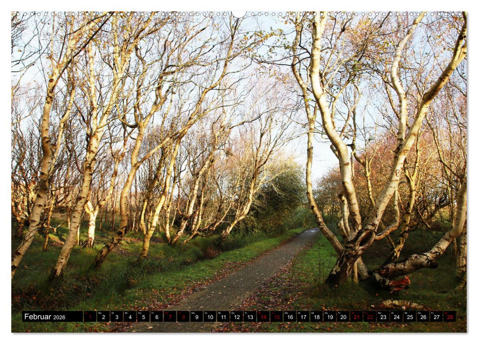 Insel Baltrum, Perle im Ostfriesischen Wattenmeer (CALVENDO Premium Wandkalender 2026)