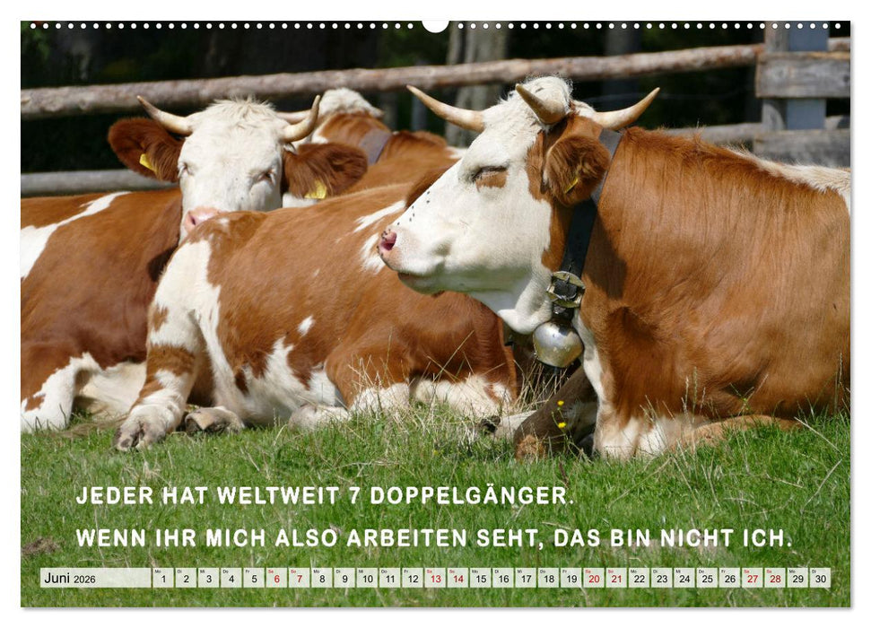 Müde, faul und arbeitsscheu (CALVENDO Premium Wandkalender 2026)