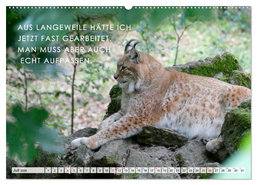 Müde, faul und arbeitsscheu (CALVENDO Premium Wandkalender 2026)