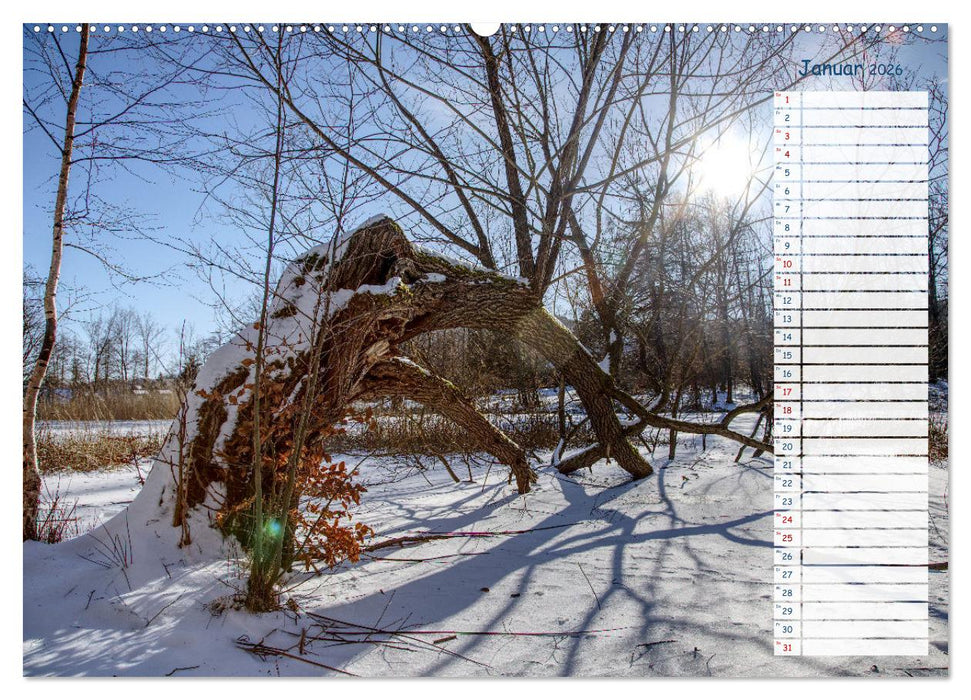 Zwischen Harz und Meer (CALVENDO Premium Wandkalender 2026)