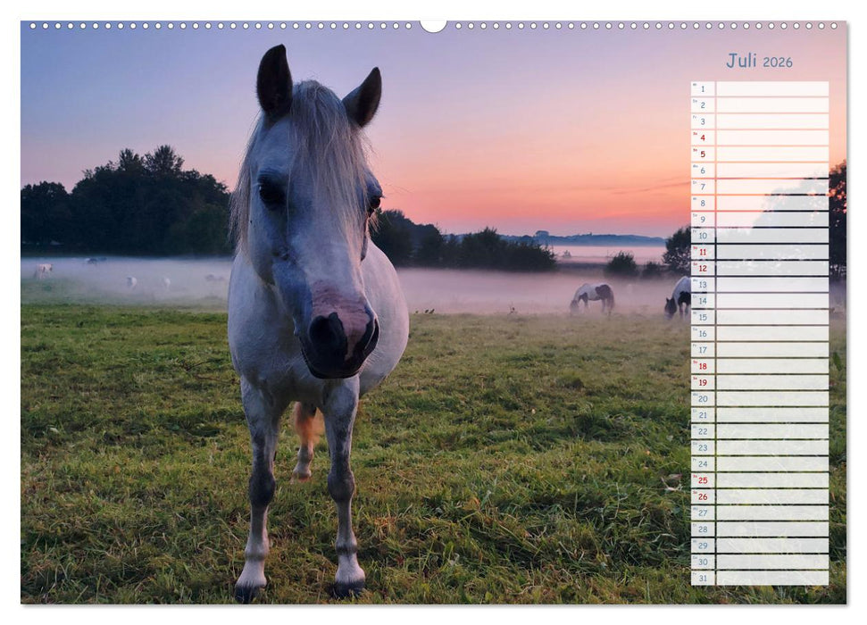 Zwischen Harz und Meer (CALVENDO Premium Wandkalender 2026)