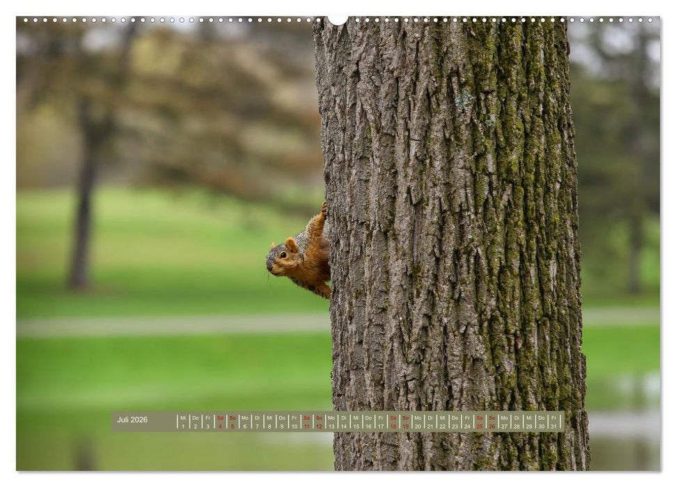 Michigan - Rund um Detroit (CALVENDO Premium Wandkalender 2026)