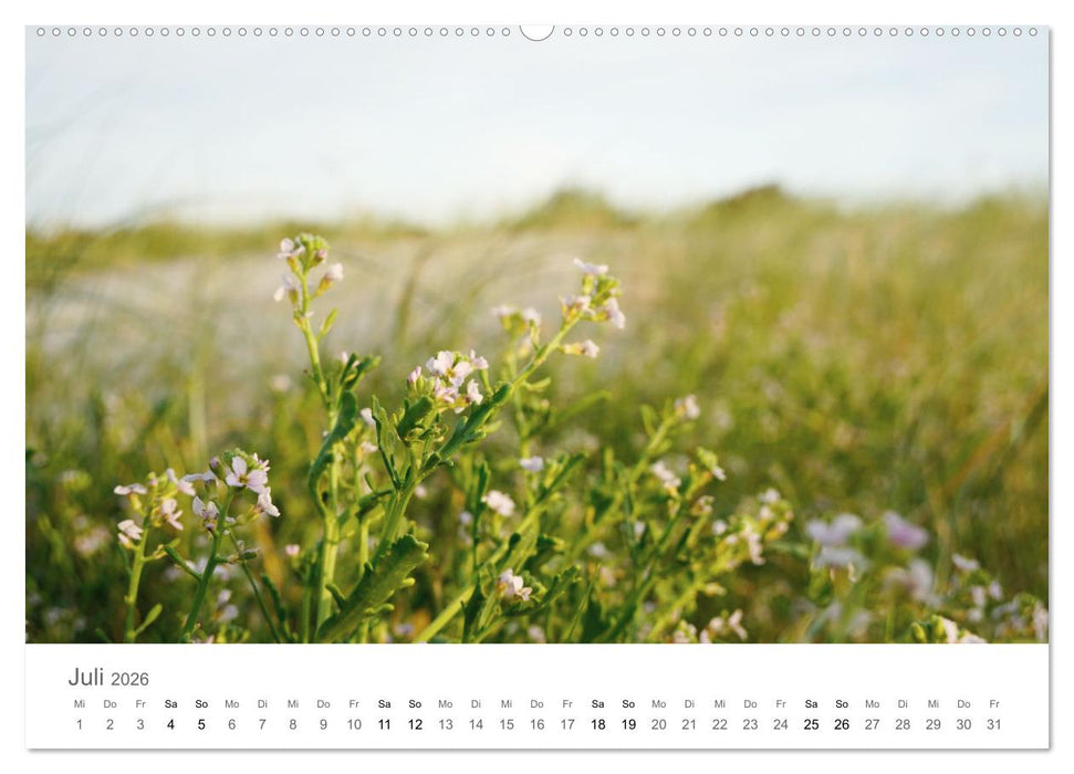 Nordfriesland - wunderschöne Westküste (CALVENDO Premium Wandkalender 2026)