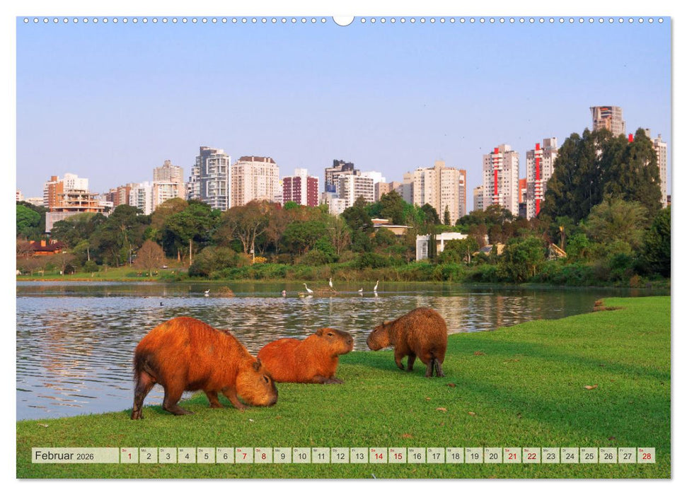 Brasilien - Zwischen Iguazu und Rio (CALVENDO Premium Wandkalender 2026)