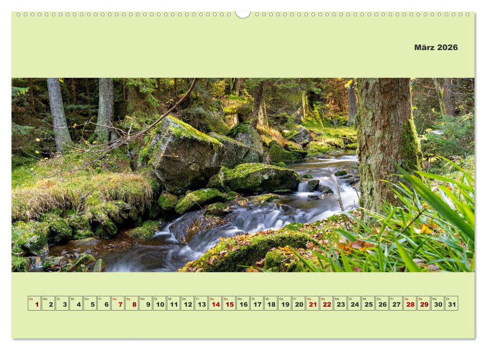 Die schwarze Pockau im Herbstgewand (CALVENDO Wandkalender 2026)