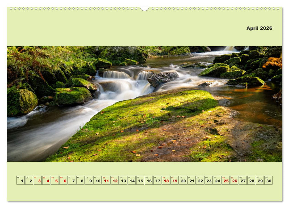 Die schwarze Pockau im Herbstgewand (CALVENDO Wandkalender 2026)