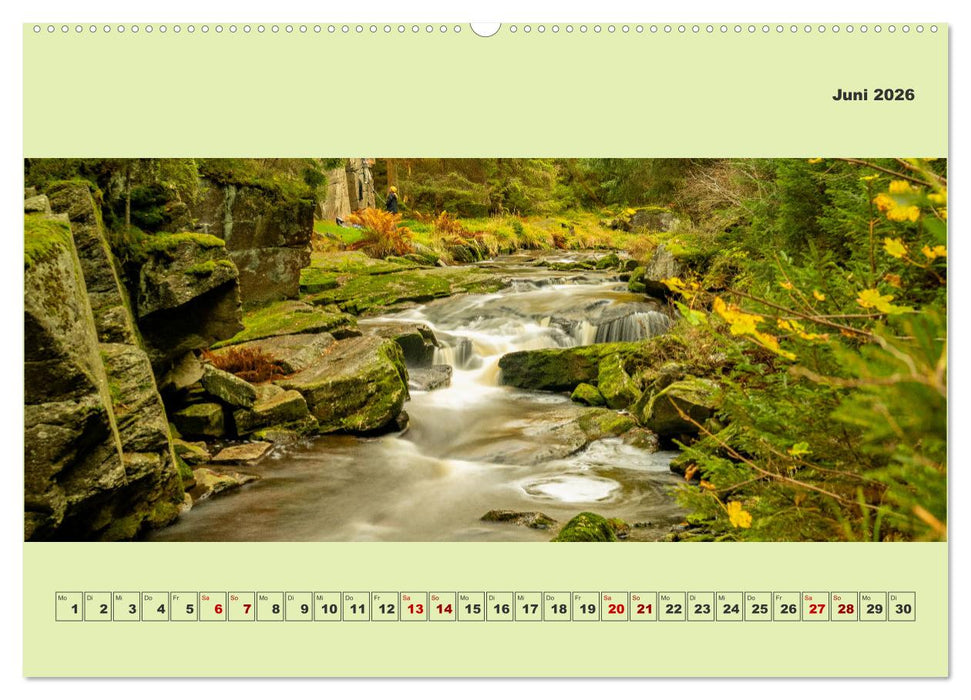 Die schwarze Pockau im Herbstgewand (CALVENDO Wandkalender 2026)
