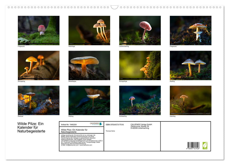 Wilde Pilze: Ein Kalender für Naturbegeisterte (CALVENDO Wandkalender 2026)