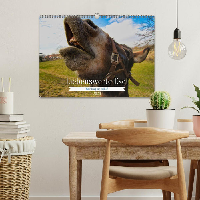 Liebenswerte Esel (CALVENDO Wandkalender 2026)