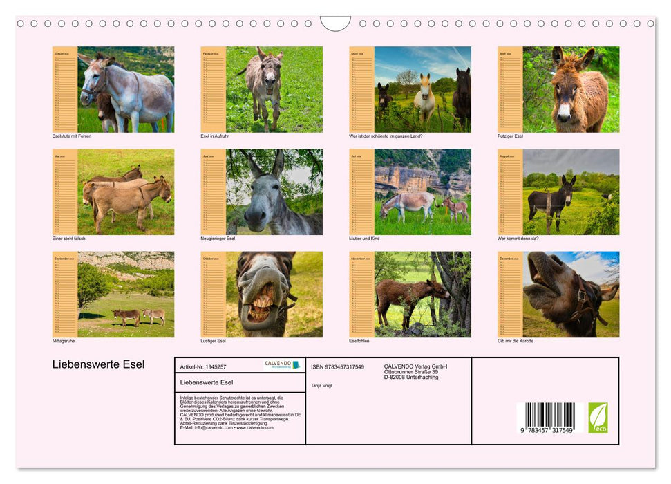 Liebenswerte Esel (CALVENDO Wandkalender 2026)