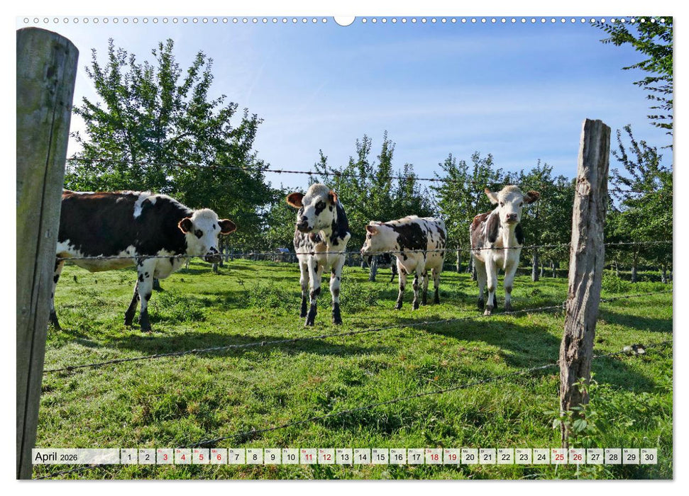 Normandie erleben (CALVENDO Premium Wandkalender 2026)