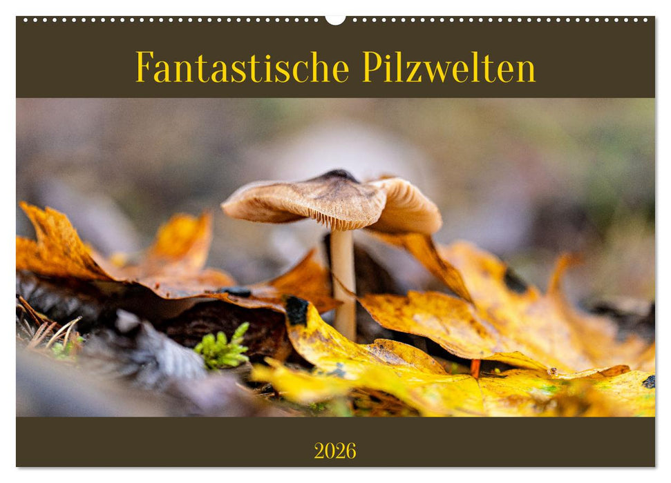 Fantastische Pilzwelten (CALVENDO Wandkalender 2026)