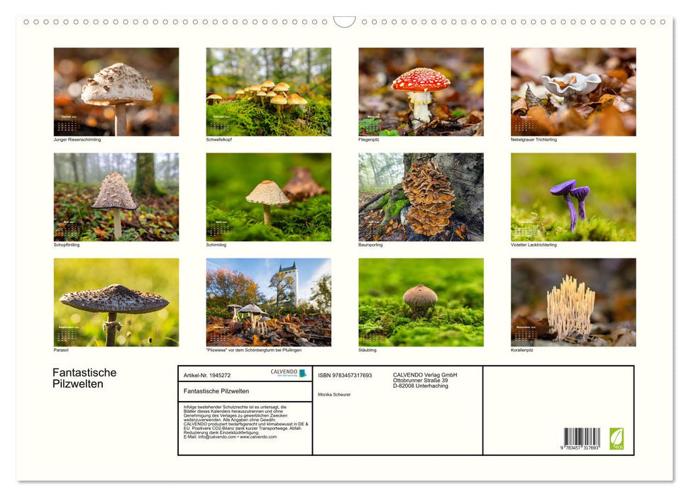 Fantastische Pilzwelten (CALVENDO Wandkalender 2026)