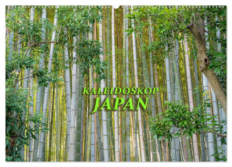 Kaleidoskop Japan (CALVENDO Wandkalender 2026)