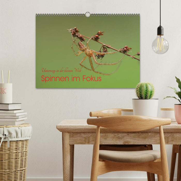 Spinnen im Fokus (CALVENDO Wandkalender 2026)