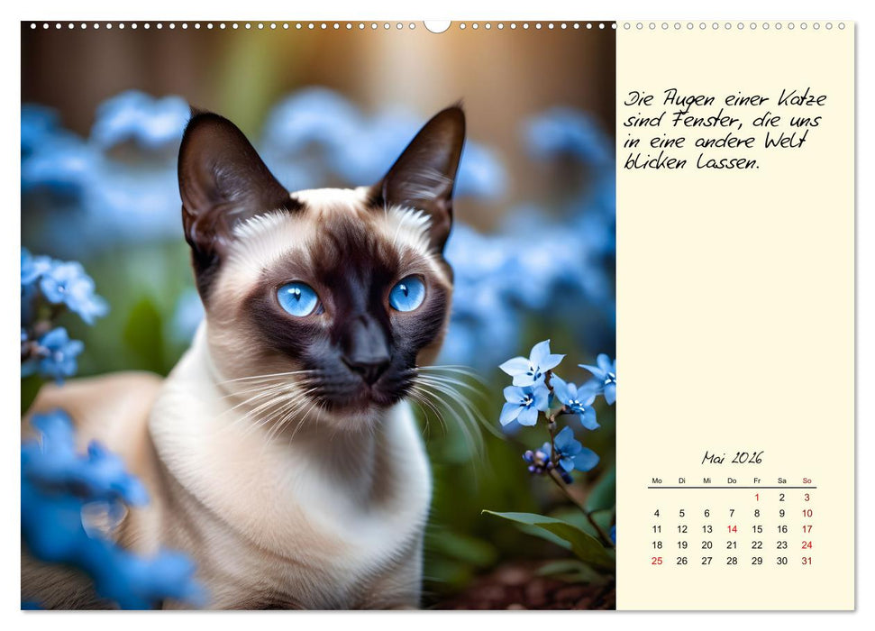 Katzen - Charakter und Schönheit (CALVENDO Premium Wandkalender 2026)