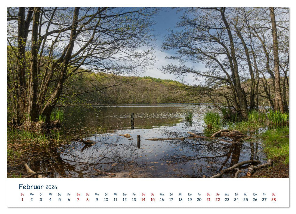 Verliebt in Rügen (CALVENDO Wandkalender 2026)