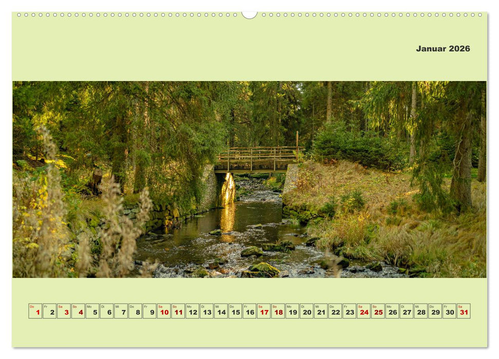 Die schwarze Pockau im Herbstgewand (CALVENDO Premium Wandkalender 2026)