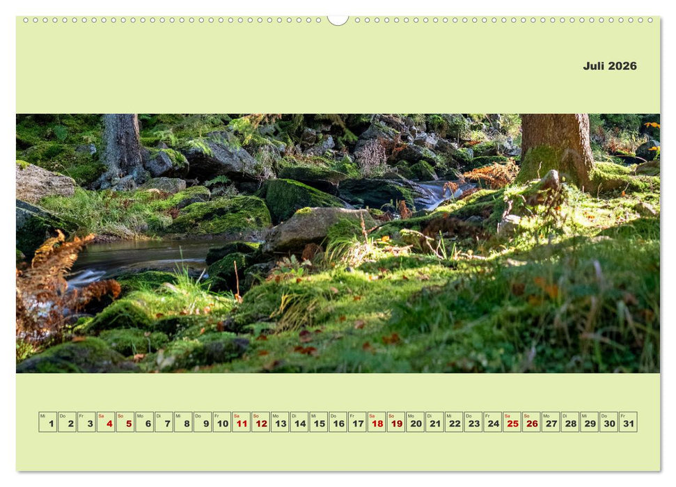 Die schwarze Pockau im Herbstgewand (CALVENDO Premium Wandkalender 2026)