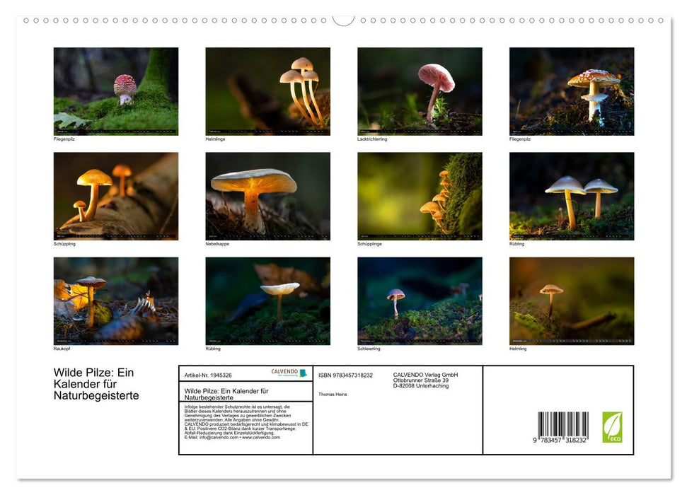 Wilde Pilze: Ein Kalender für Naturbegeisterte (CALVENDO Premium Wandkalender 2026)