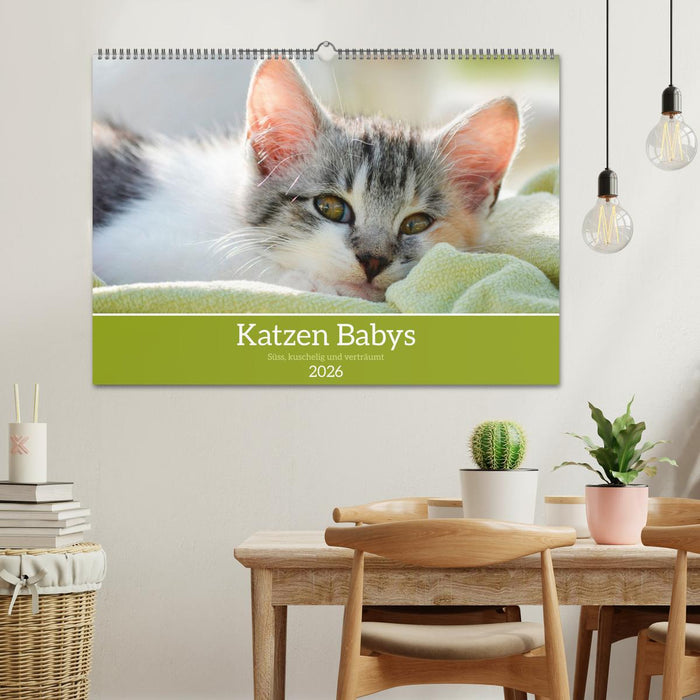 Katzenbabys (CALVENDO Wandkalender 2026)
