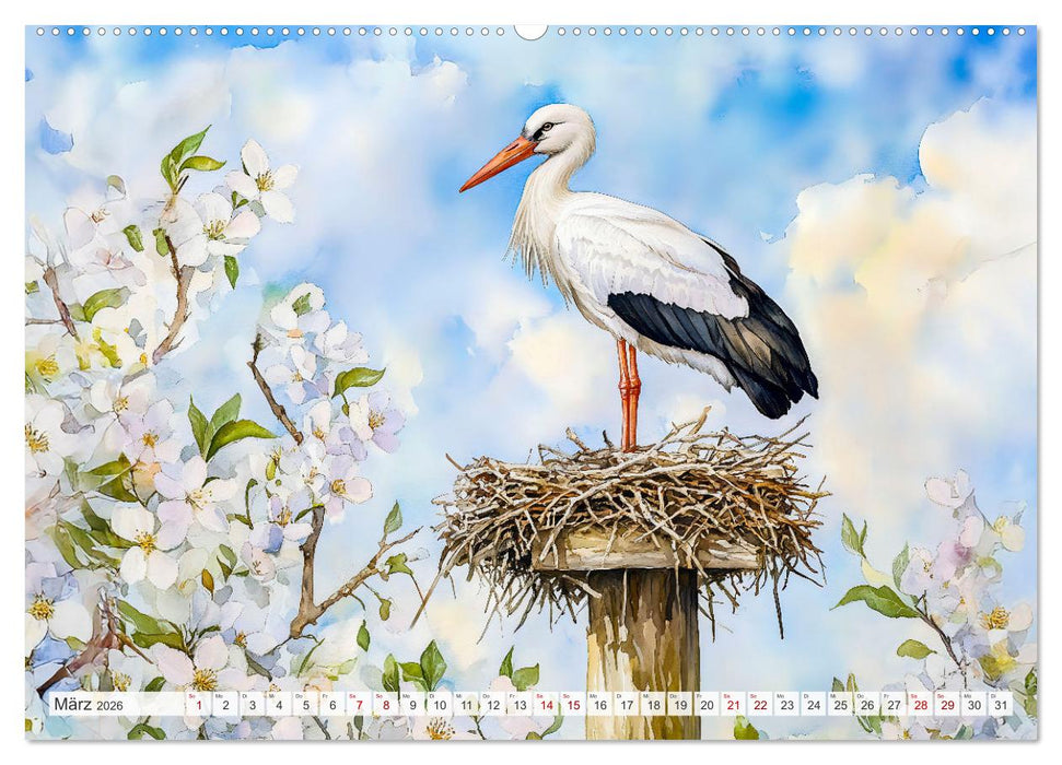 Wildtiere Europas - Farbwelt der heimischen Fauna (CALVENDO Wandkalender 2026)