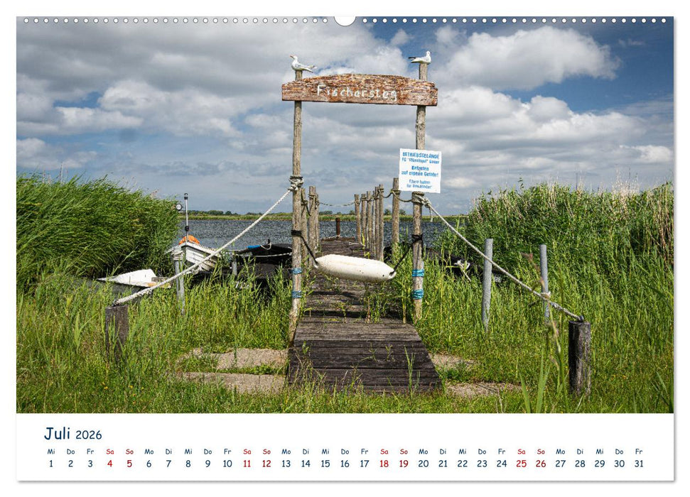 Verliebt in Rügen (CALVENDO Premium Wandkalender 2026)