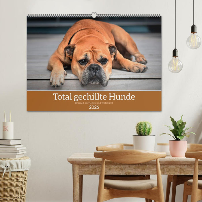 Total gechillte Hunde (CALVENDO Wandkalender 2026)