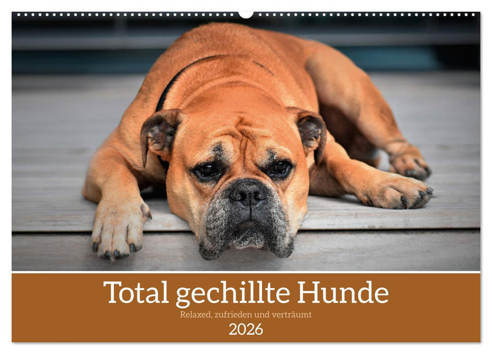 Total gechillte Hunde (CALVENDO Wandkalender 2026)