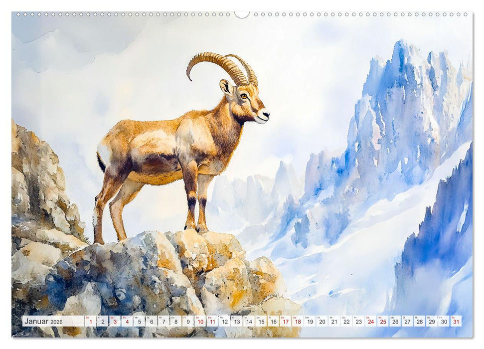 Wildtiere Europas - Farbwelt der heimischen Fauna (CALVENDO Premium Wandkalender 2026)