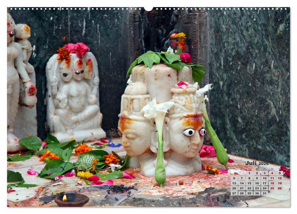 Typisch Indien - Unterwegs in Rajasthan (CALVENDO Premium Wandkalender 2026)