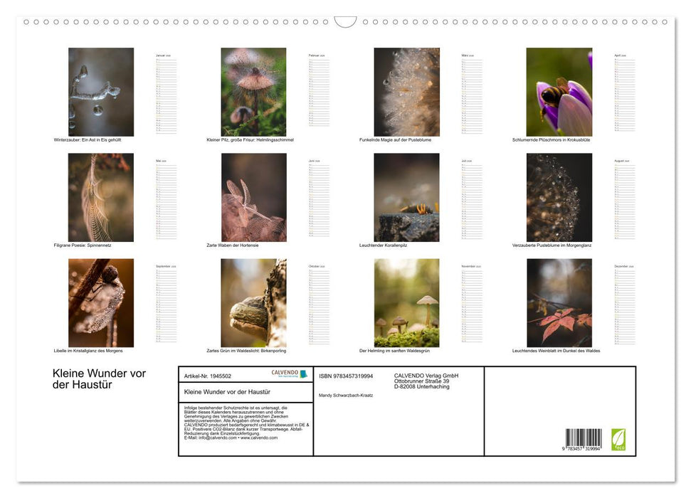 Kleine Wunder vor der Haustür (CALVENDO Wandkalender 2026)