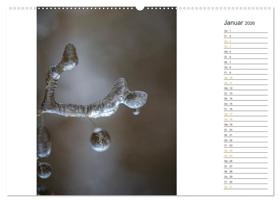 Kleine Wunder vor der Haustür (CALVENDO Wandkalender 2026)