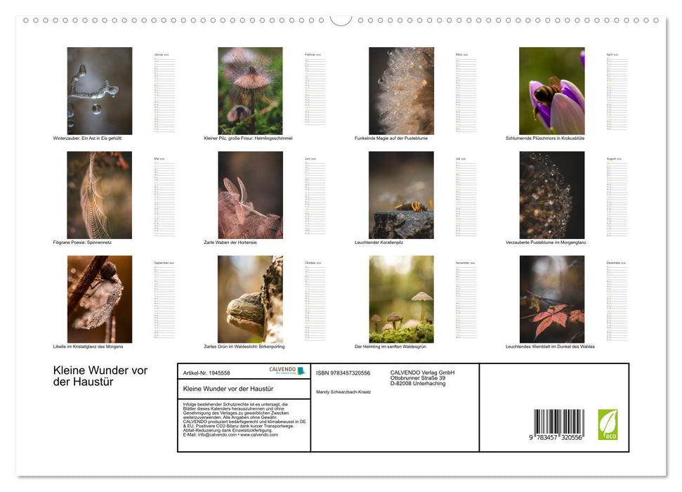 Kleine Wunder vor der Haustür (CALVENDO Premium Wandkalender 2026)