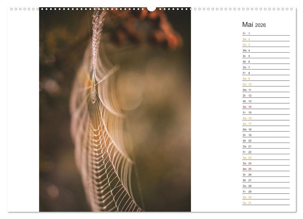 Kleine Wunder vor der Haustür (CALVENDO Premium Wandkalender 2026)