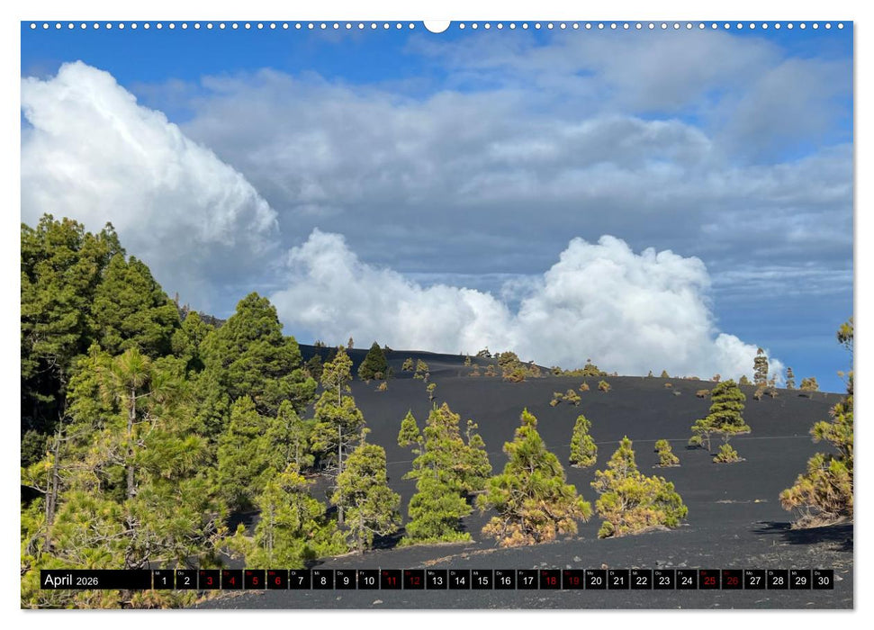 La Palma - Eine Reise über die La Isla Bonita (CALVENDO Wandkalender 2026)