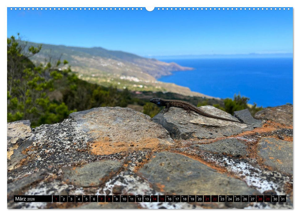 La Palma - Eine Reise über die La Isla Bonita (CALVENDO Premium Wandkalender 2026)