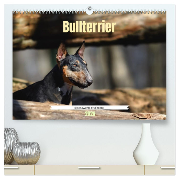 Bullterrier, liebenswerte Sturköpfe (CALVENDO Premium Wandkalender 2026)