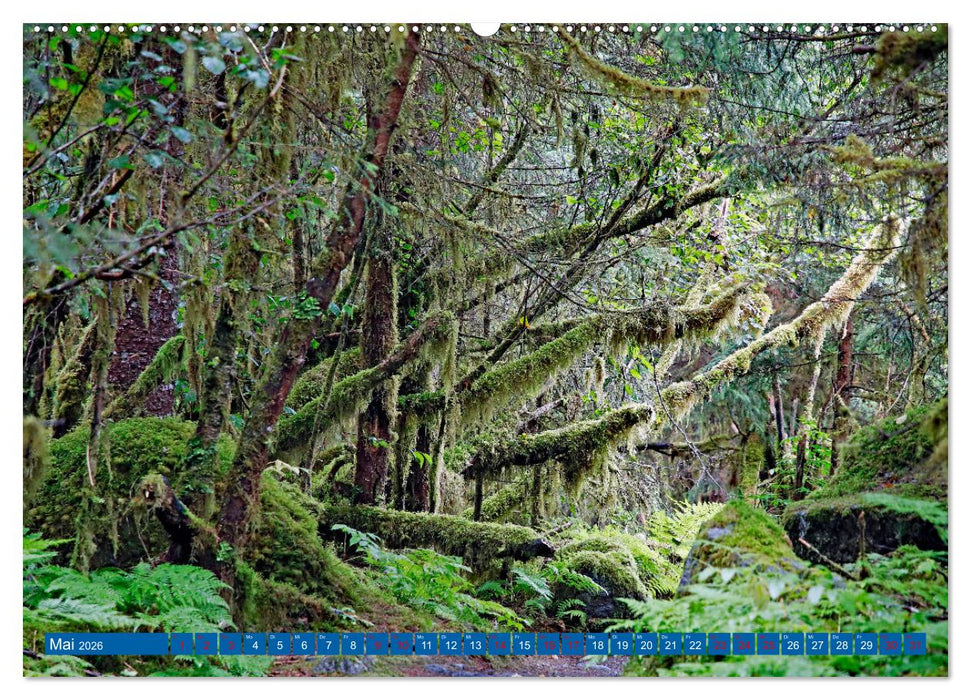 Von Vancouver nach Alaska (CALVENDO Wandkalender 2026)