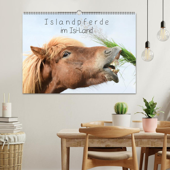 Islandpferde im Isi-Land (CALVENDO Wandkalender 2026)