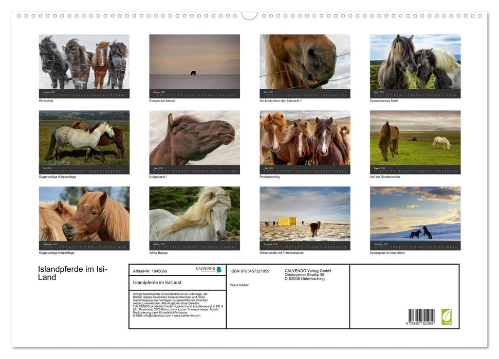 Islandpferde im Isi-Land (CALVENDO Wandkalender 2026)