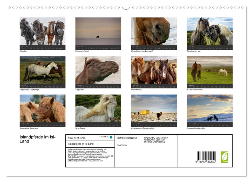Islandpferde im Isi-Land (CALVENDO Premium Wandkalender 2026)