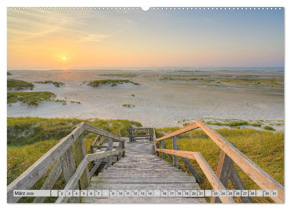 Wunderschönes Amrum (CALVENDO Wandkalender 2026)