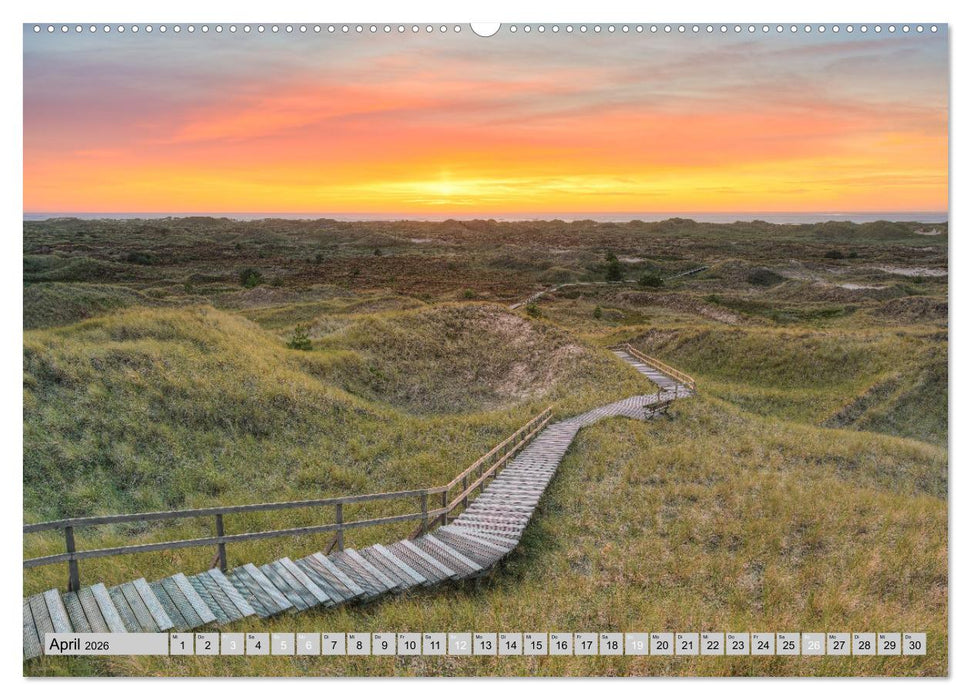 Wunderschönes Amrum (CALVENDO Wandkalender 2026)